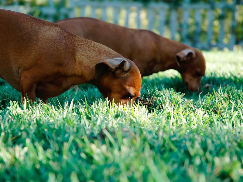 accessibility screenshot 2