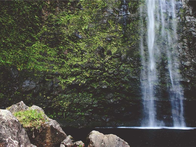 sudoku coloring method
