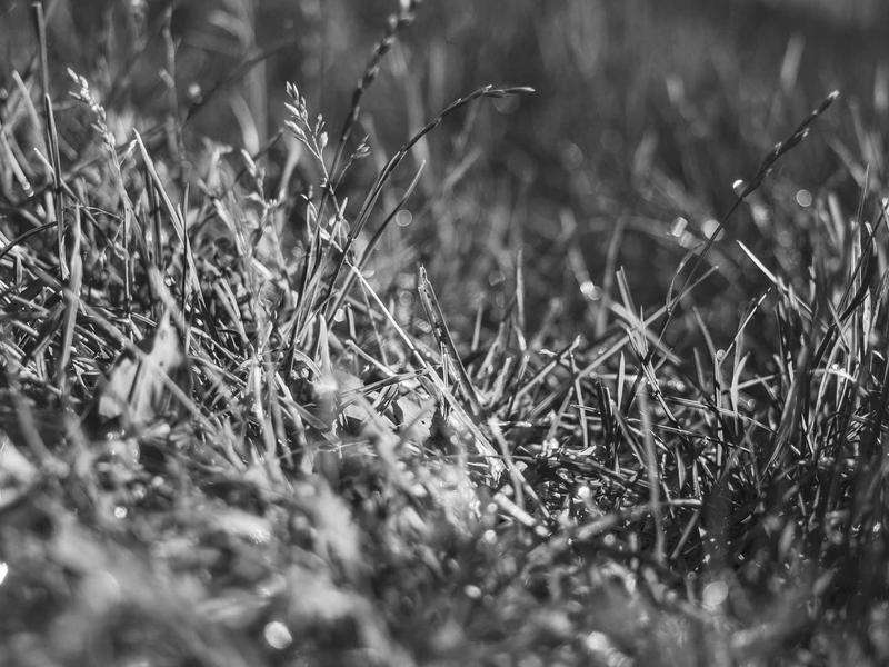 accessibility screenshot 6